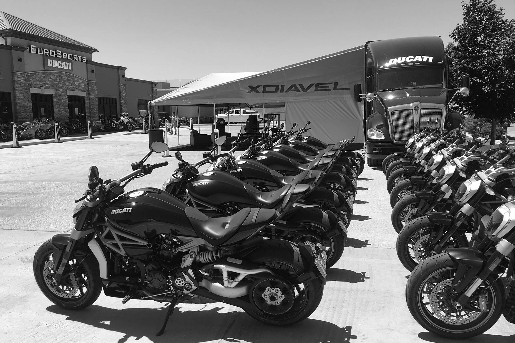XDiavel trailer and expanded tent branding